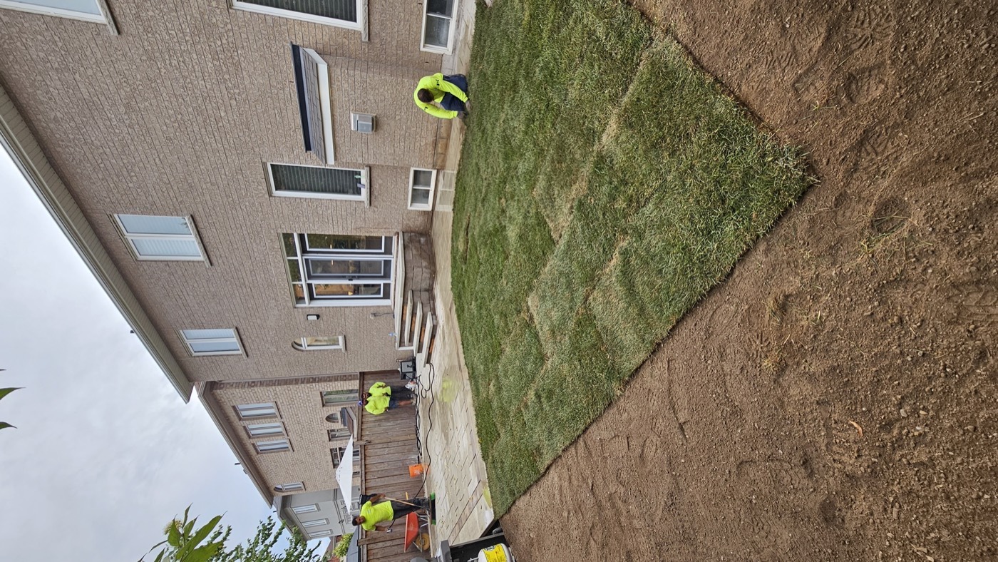 Backyard Patio