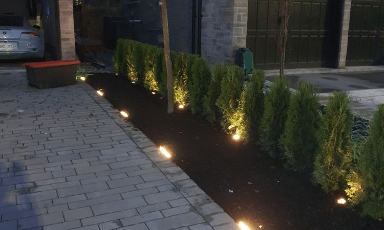 Landscaping 8 of 9